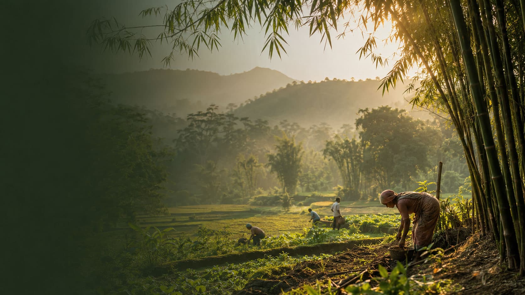 Samarjuna FPC — Konkan agriculture and bamboo